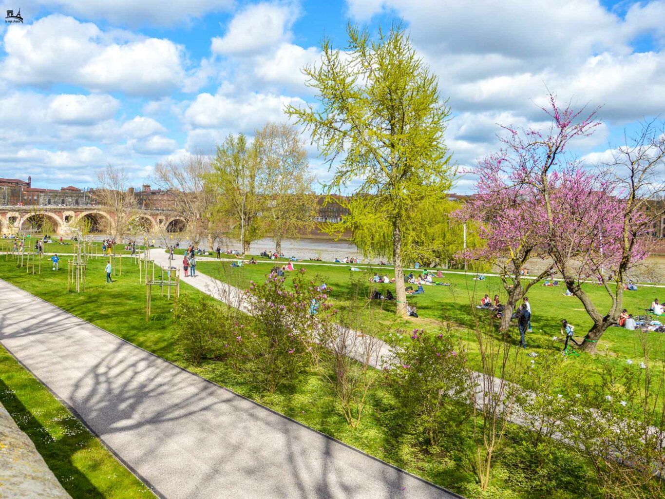 Qu Ver En TOULOUSE 20 Lugares De La Ciudad Rosa qu-ver-en-toulouse-20-lugares-de-la-ciudad-rosa