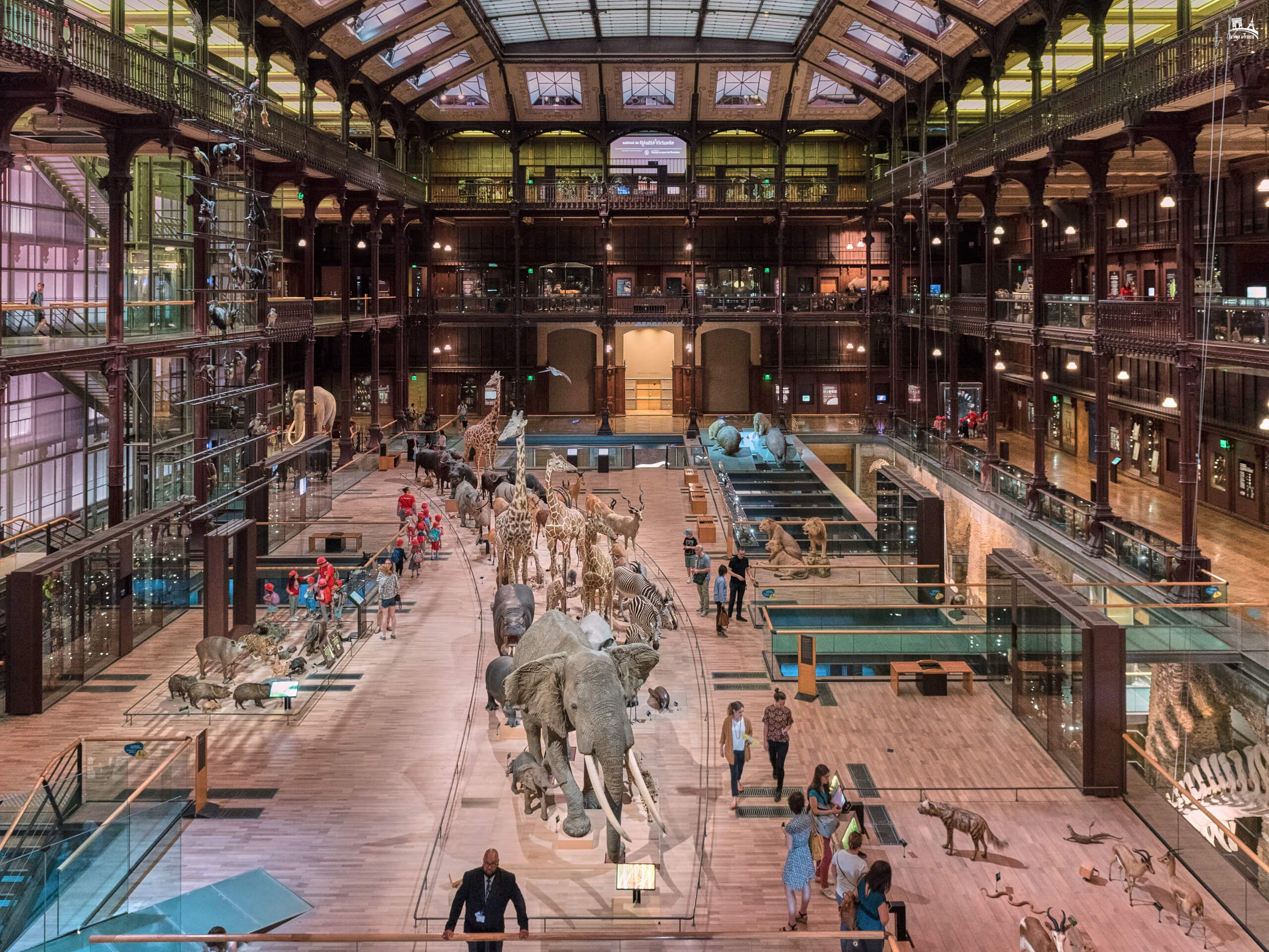 Interior de la Gran Galería de la Evolución - Museos de París