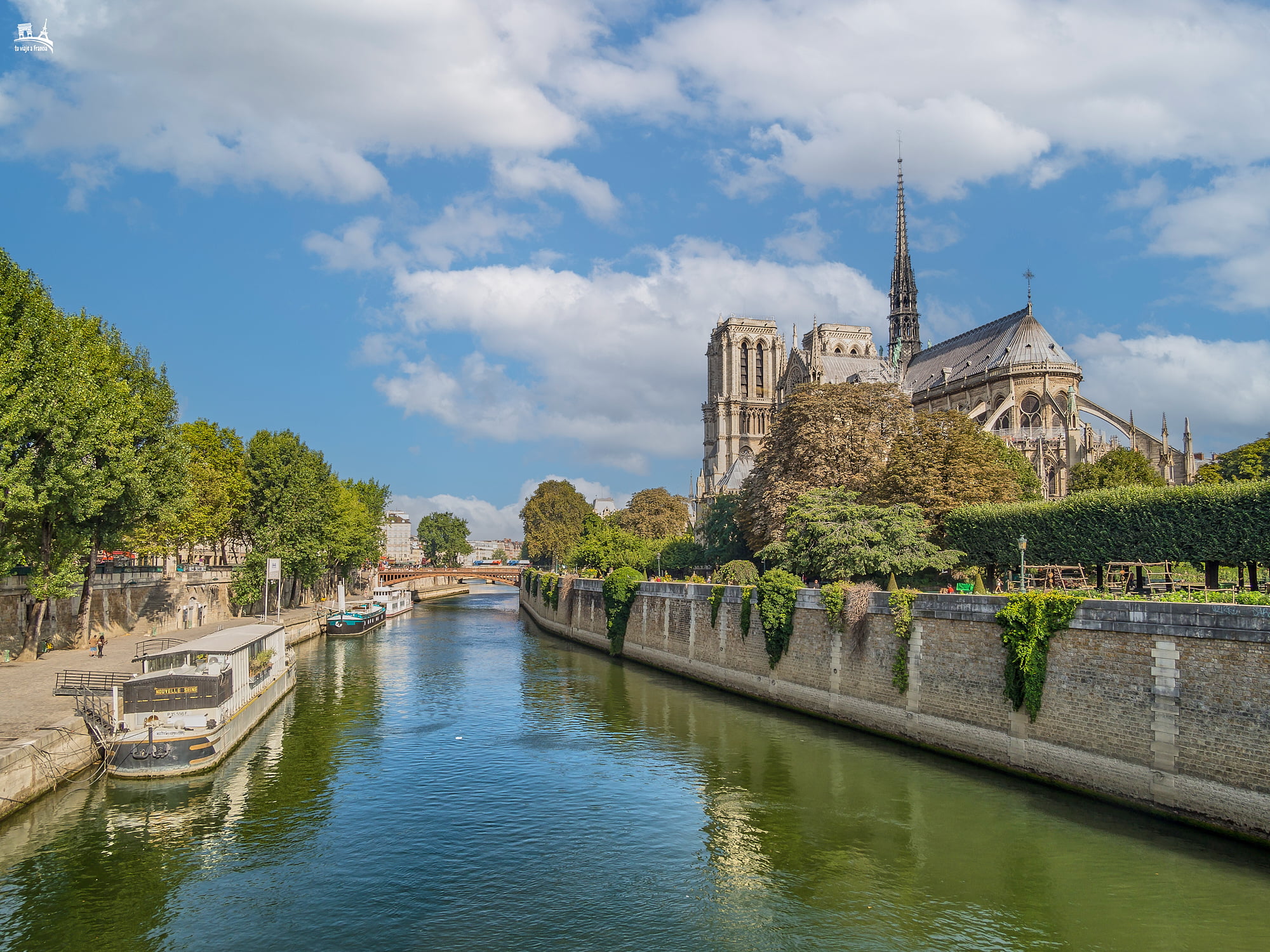 Catedral de Notre Dame, viajar a París
