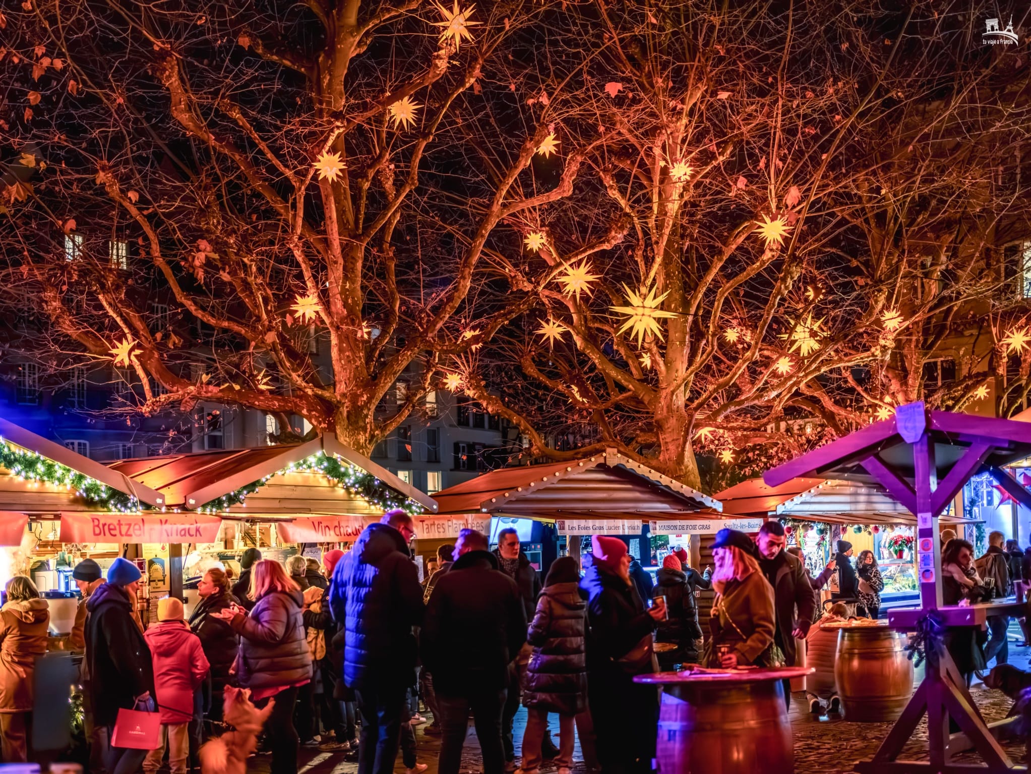 Mercadillo navideño de Le Quai des Délices Estrasburgo en Navidad