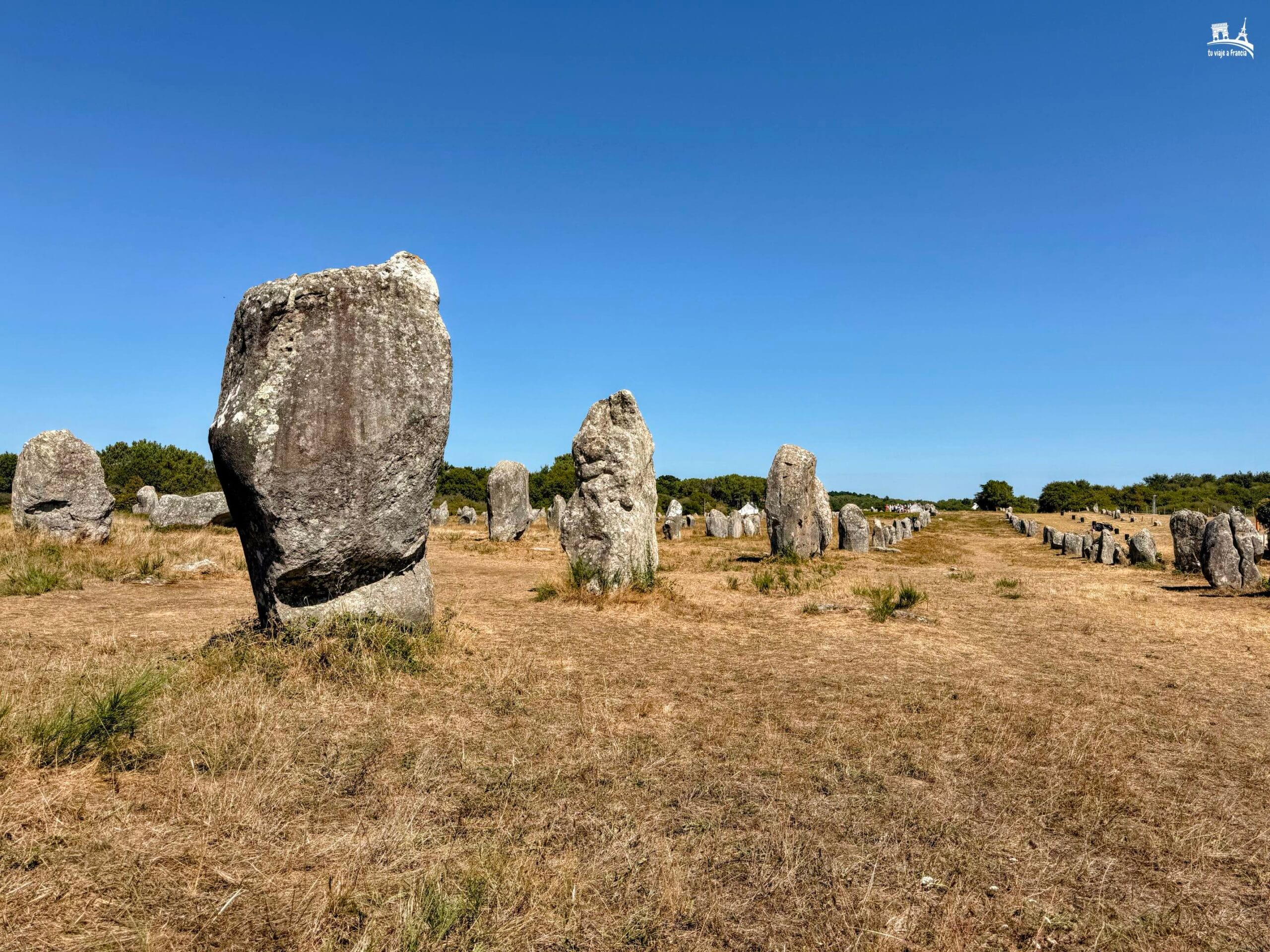 Carnac Menhires de Carnac
